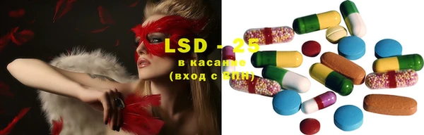 СК Горнозаводск