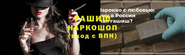 тгк Гусев