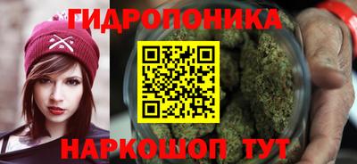 PSILOCYBIN Нальчик