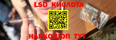 PSILOCYBIN Нальчик